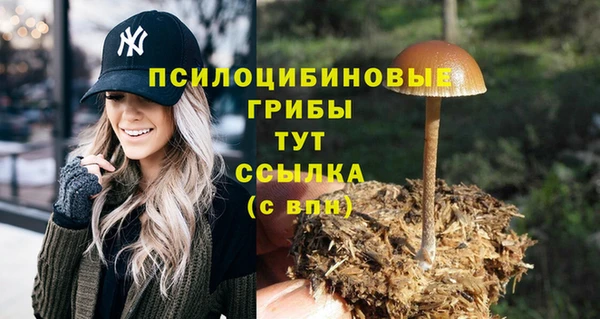 меф Алзамай