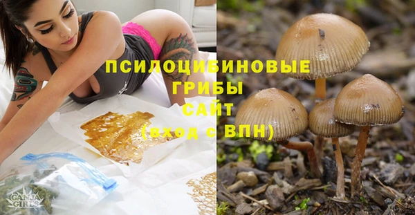 ГАЛЛЮЦИНОГЕННЫЕ ГРИБЫ Алексеевка