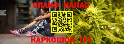 прущие грибы Берёзовский