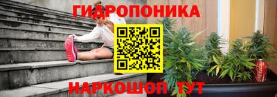 прущие грибы Берёзовский