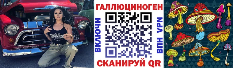 Галлюциногенные грибы Psilocybe Дедовск