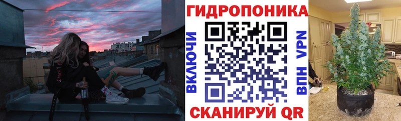 Конопля марихуана  купить наркотики цена  Дедовск 