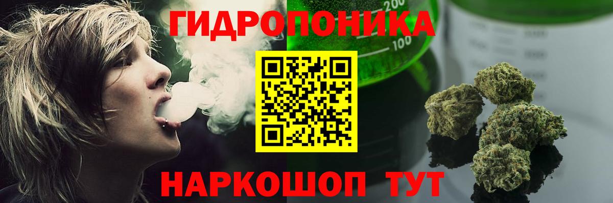 Бошки Шишки OG Kush Дедовск
